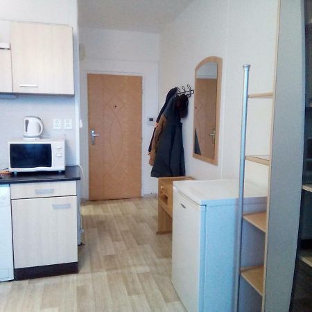 Studio Type Apartment Пилзен Екстериор снимка