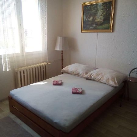 Studio Type Apartment Пилзен Екстериор снимка