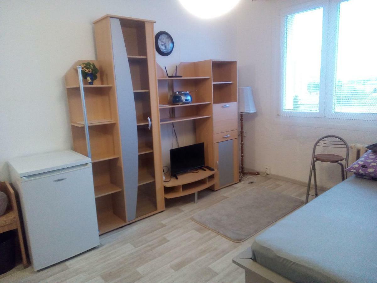 Studio Type Apartment Пилзен Екстериор снимка