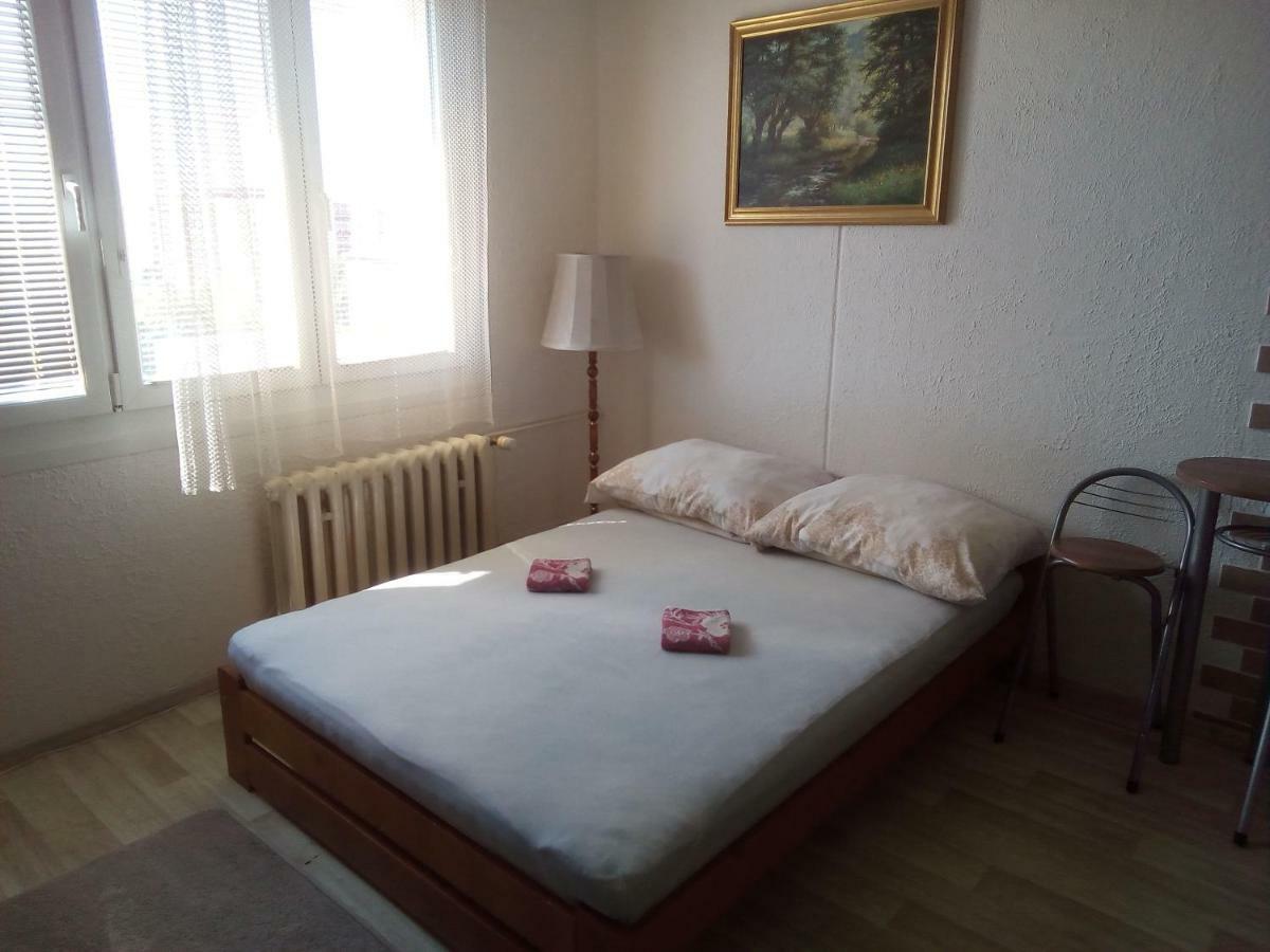 Studio Type Apartment Пилзен Екстериор снимка